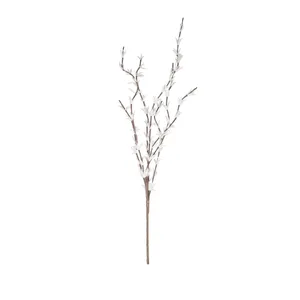 Botanica #914 5