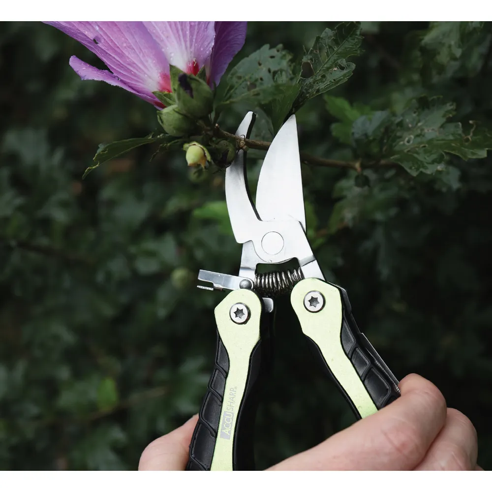 Knives & Multi-tools