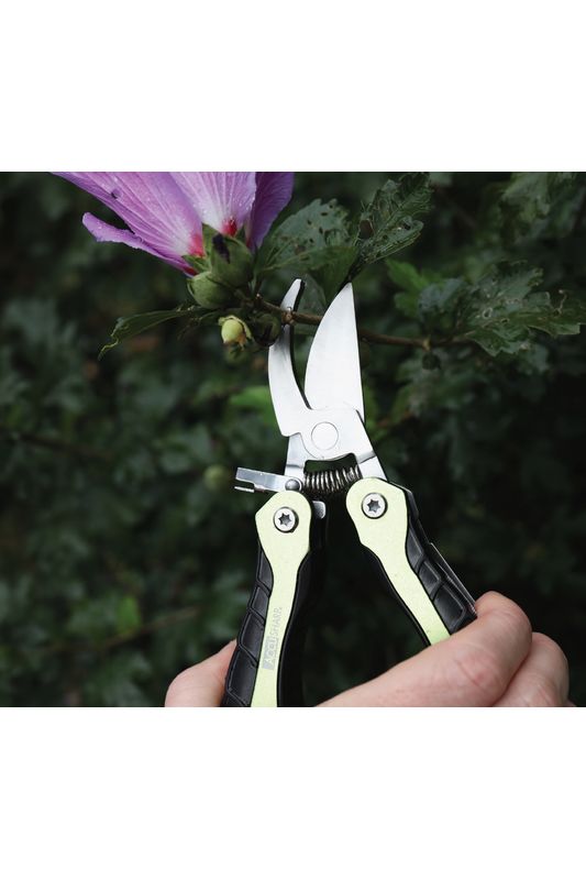 Knives & Multi-tools