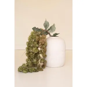 Botanica #3323 2