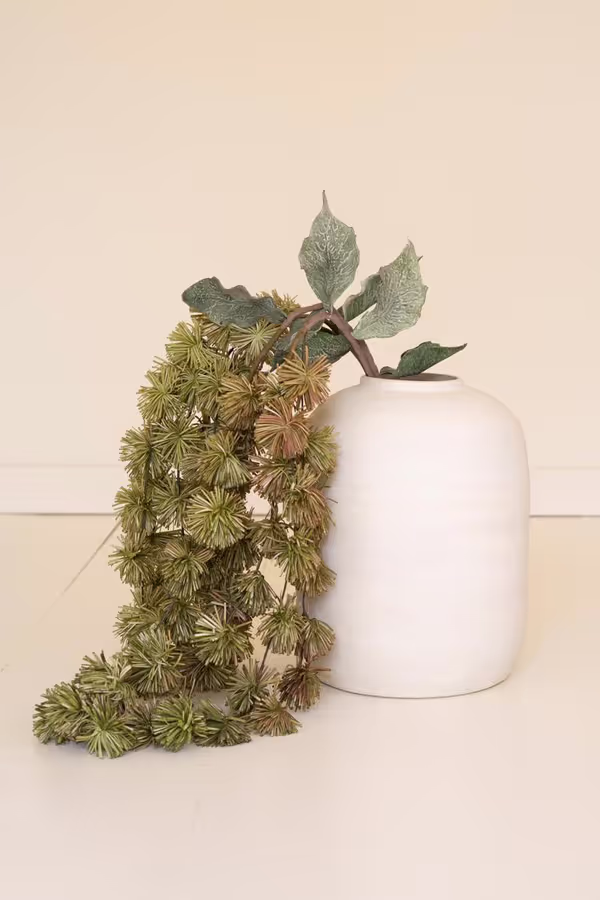 Botanica #3323