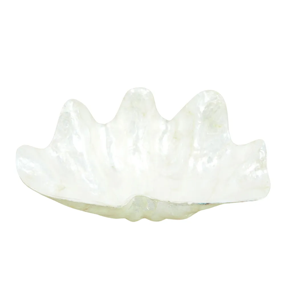 7-3/4" SMALL NATURAL WHITE SHELL