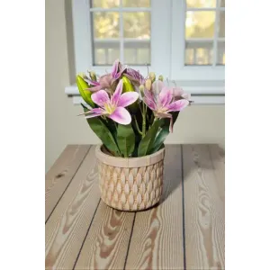 Spring Garden Pot 10in 2