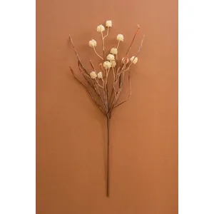 Botanica #2892 1