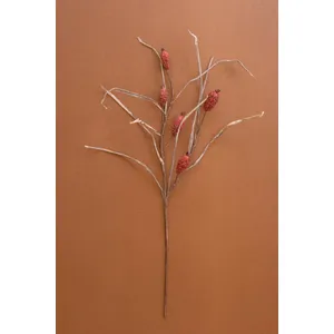 Botanica #2886 1