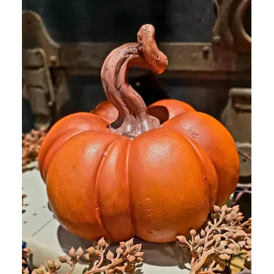 Whimsy Pumpkin 7x6x6in