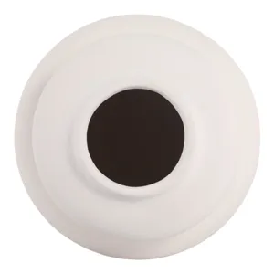 DUTTONDALE WHITE VASE 12 (IN) 6