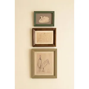 Set of 3 Framed Bird Illustrations Under Glass 4