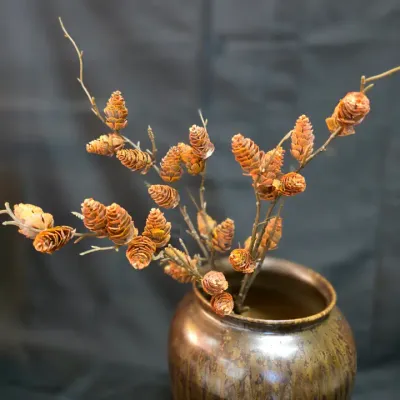 Burnt Pinecone Stem
