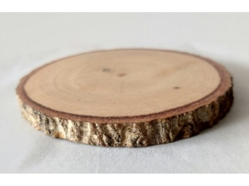 4" Natural Wood Slice 1