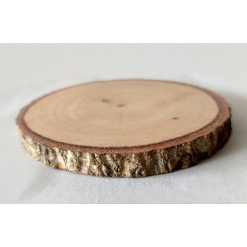 4" Natural Wood Slice