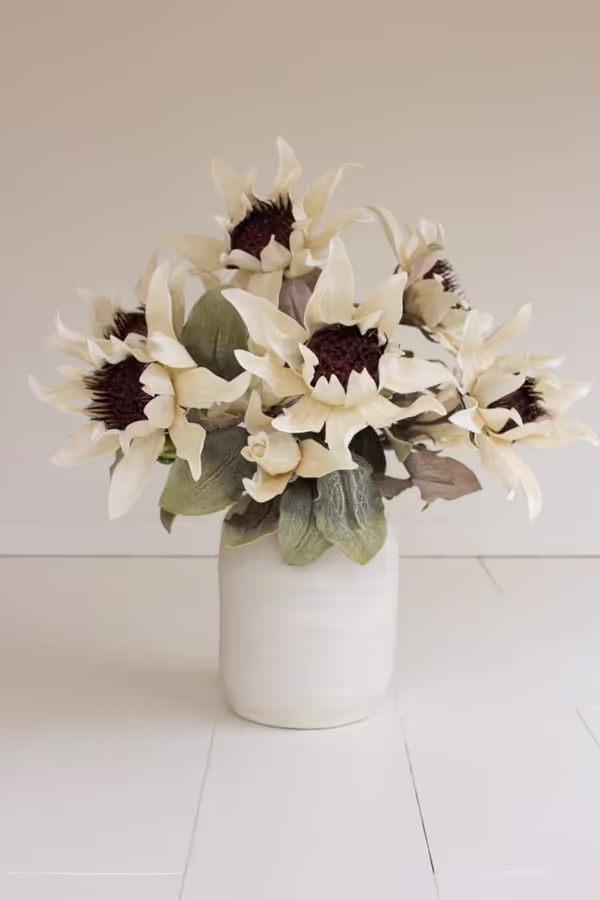 Botanica #2797