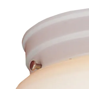 Elowen 10'' Wide 2-Light Flush Mount - White 3