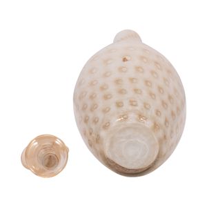 DENTONSHAW IVORY GLASS VASE 23 (IN) 9