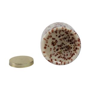 DRYDENMILL CINNAMON CANDLE 8 (IN) 8