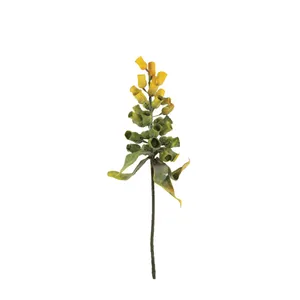 Botanica #2776 4