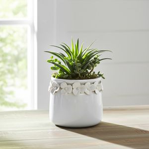 CROSBYGROVE WHITE PLANTER 6 (IN) 12