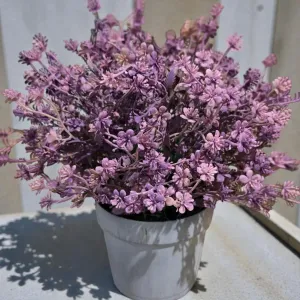 Springtime Lavender Pot 10in 1