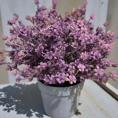 Springtime Lavender Pot 10in