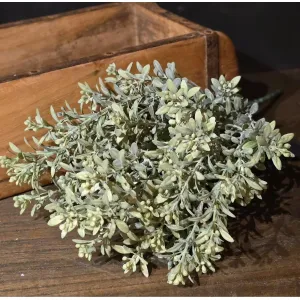 Sage Garden Stem 13in 1