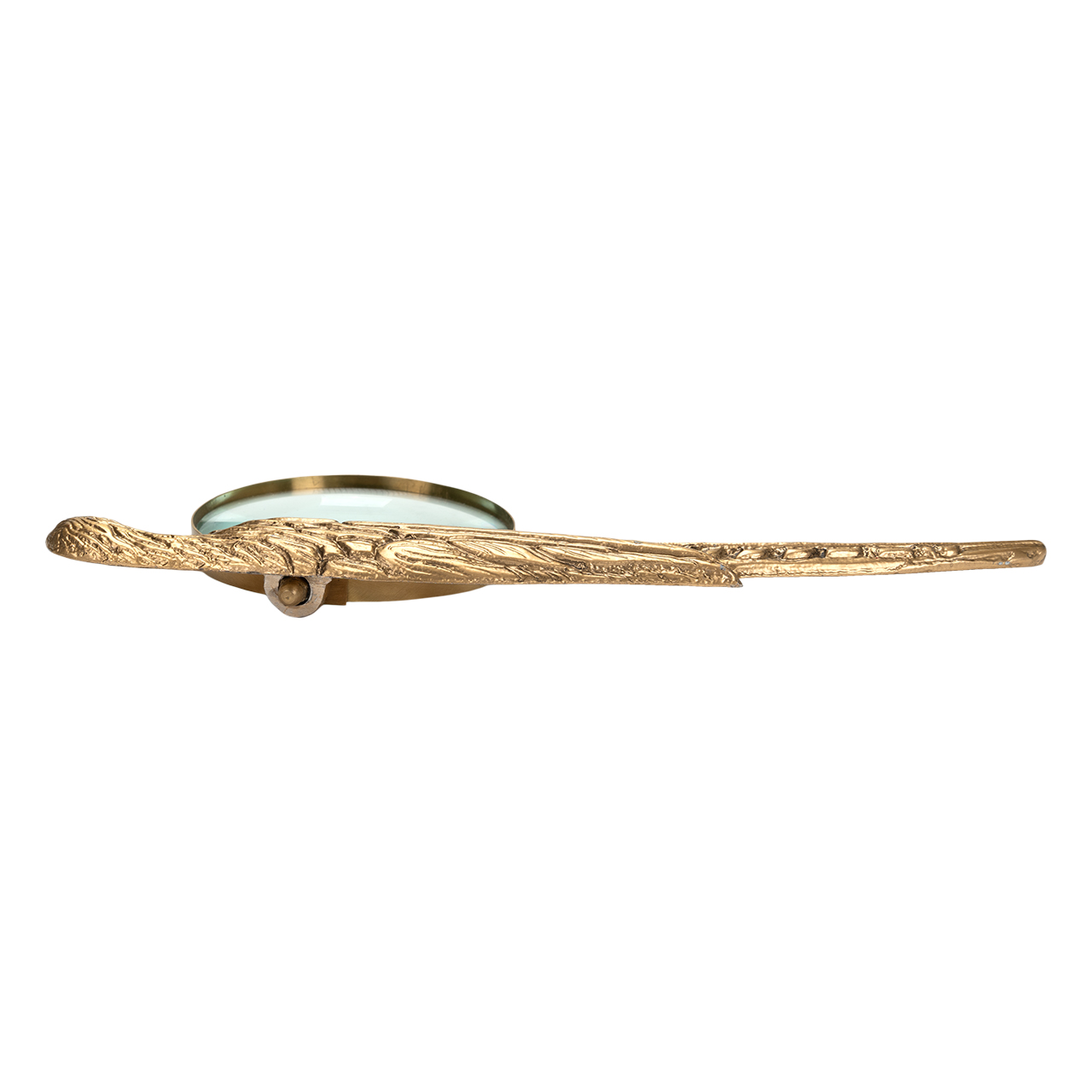 Norine Magnifying Glass 6