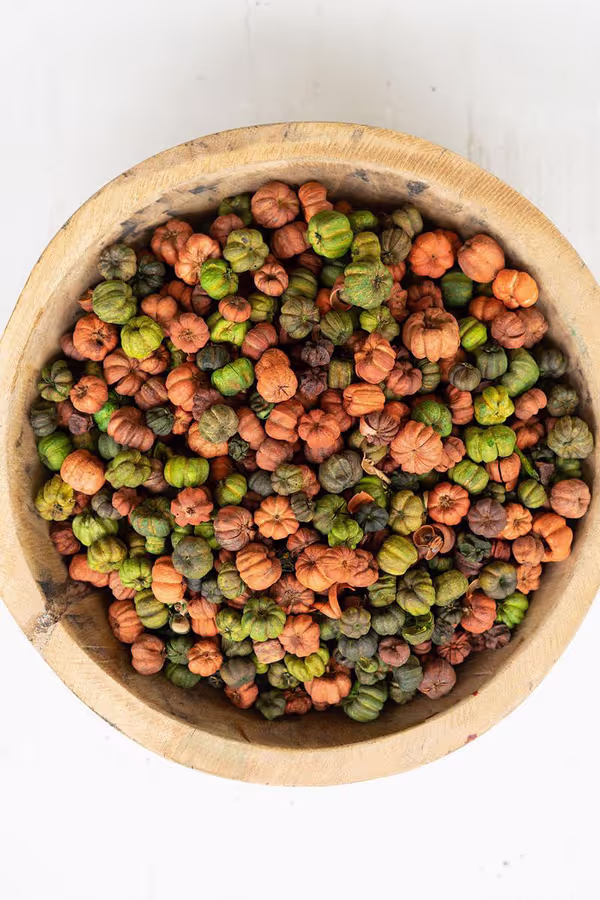 Bag of Orange and Green Putka Pods