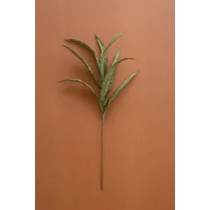 Botanica #9076 1