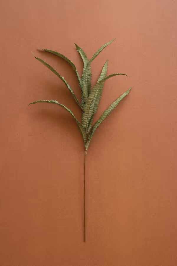 Botanica #9076