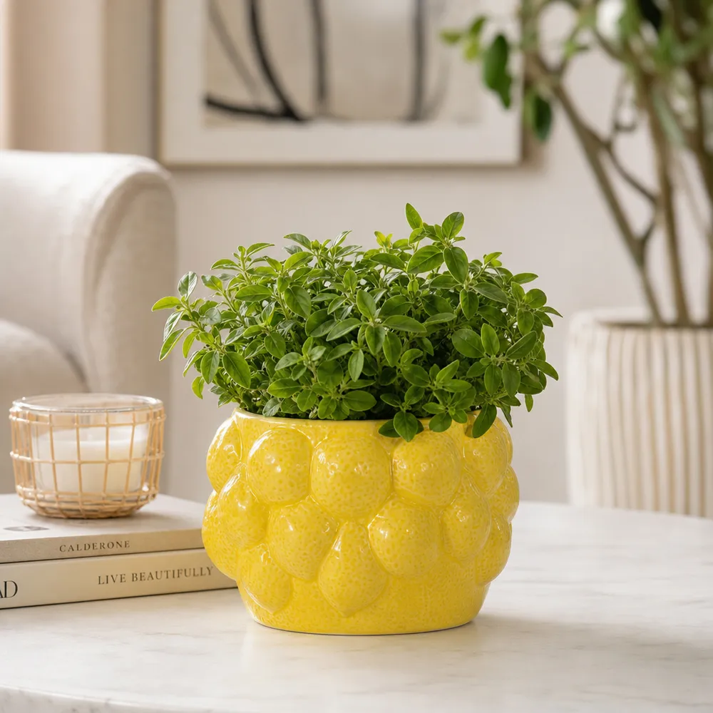 CALWIND YELLOW PLANTER 5 (IN)