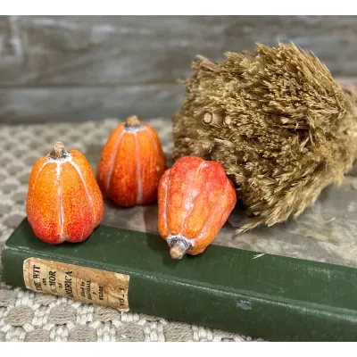 Baby Pumpkin 2.5x2.5in Set of 3