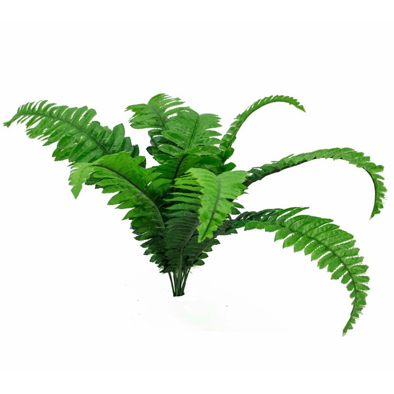22" Boston Fern Bush