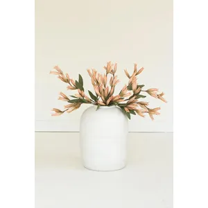 botanica #9039 1