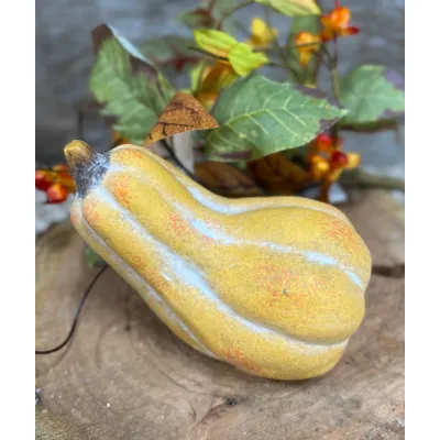 Butternut Squash 4x3.25in