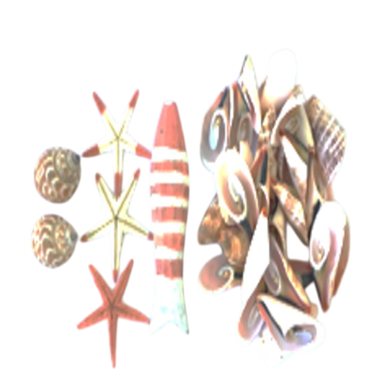 ASTD SHLL/STRFISH/RED FISH