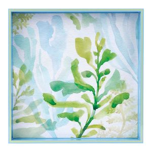 Sea Kelp