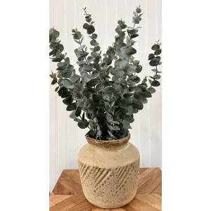 Eucalyptus 21in 1