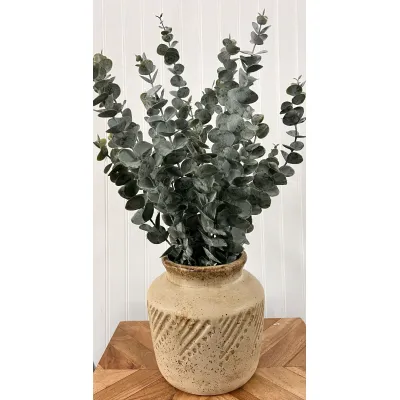Eucalyptus 21in