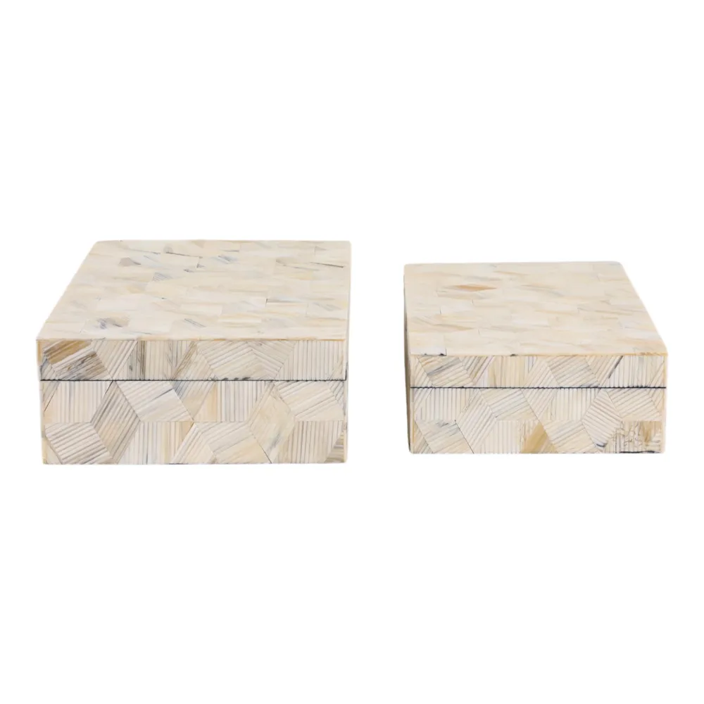 COLINPORT SET OF 2 BROWN BOXES 3 (IN)