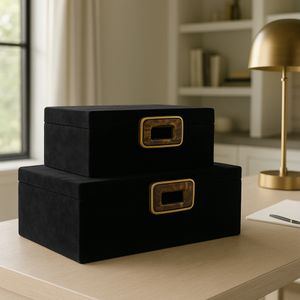 RAYMOND SET OF 2 BLACK BOXES 5 (IN) 12