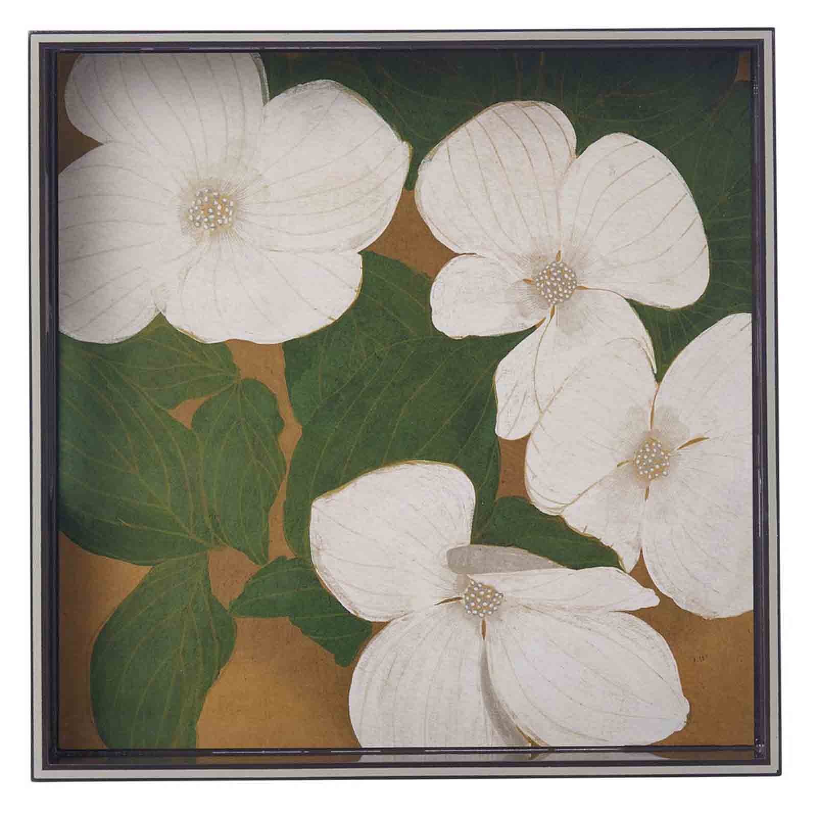 White Dogwood