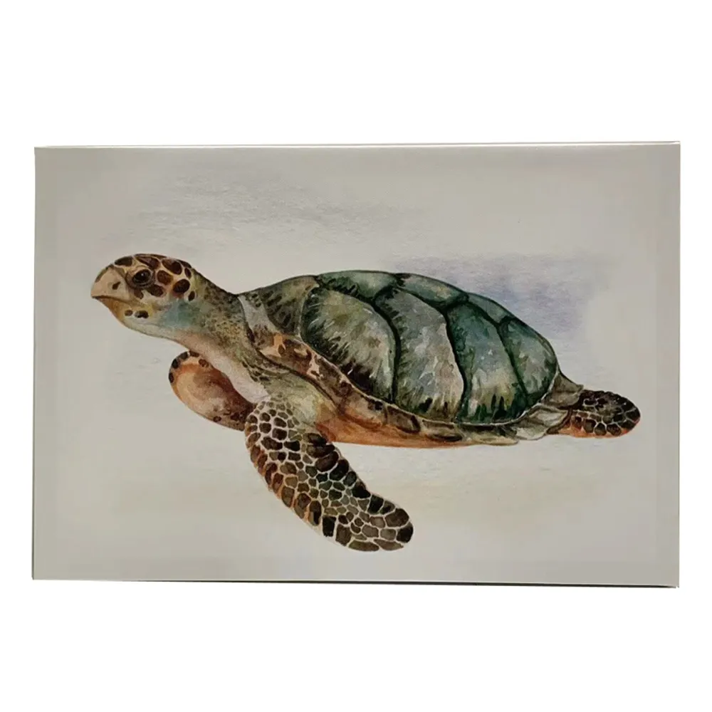 13-1/2" TURTLE CANVAS ART