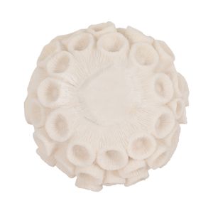 SAGELAND IVORY ORB 6 (IN) 6