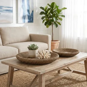 HARKENHAVEN SET OF 2 TAN TRAY 3 (IN) 9