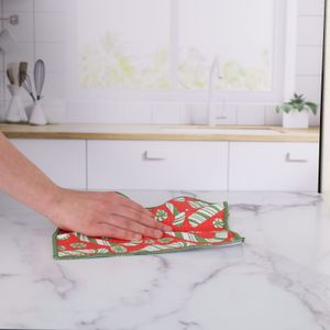 Candy Cane Joy Eco Dish Cloth (Set of 3) 4
