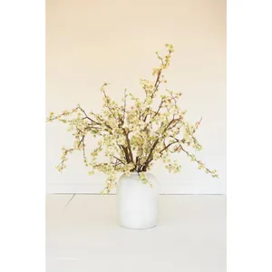 botanica #2850 2