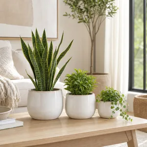 RAYMONDHAVEN SET OF 3 IVORY PLANTER 9 (IN) 10