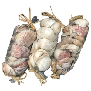 8" BAG OF SEASHELLS 3-ASST (01600) 1