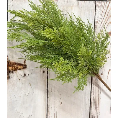 Long Stem Cedar Spray