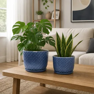 FIONAOAK SET OF 2 BLUE PLANTER 10 (IN) 9