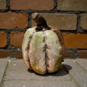 Warm Ember Pumpkin 4x4x5in 1